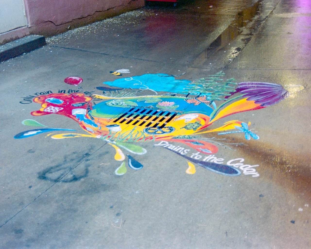 Alley artwork in downtown Cedar Rapids. Camera: Nikon N2020 with Fujifilm Superia 400