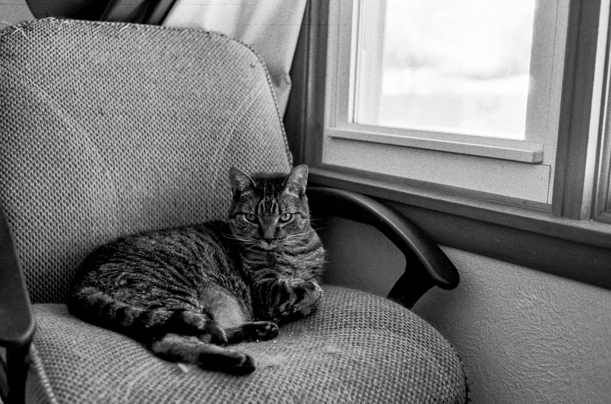 Photo from a roll of Ilford HP5 shot with my Nikon N2020